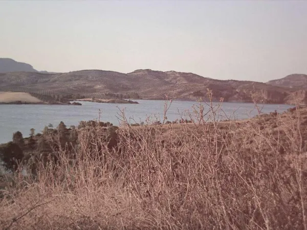 ペットサービス