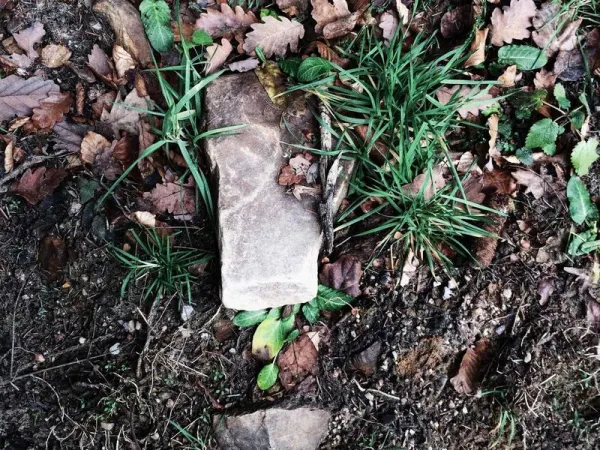 リラクゼーション